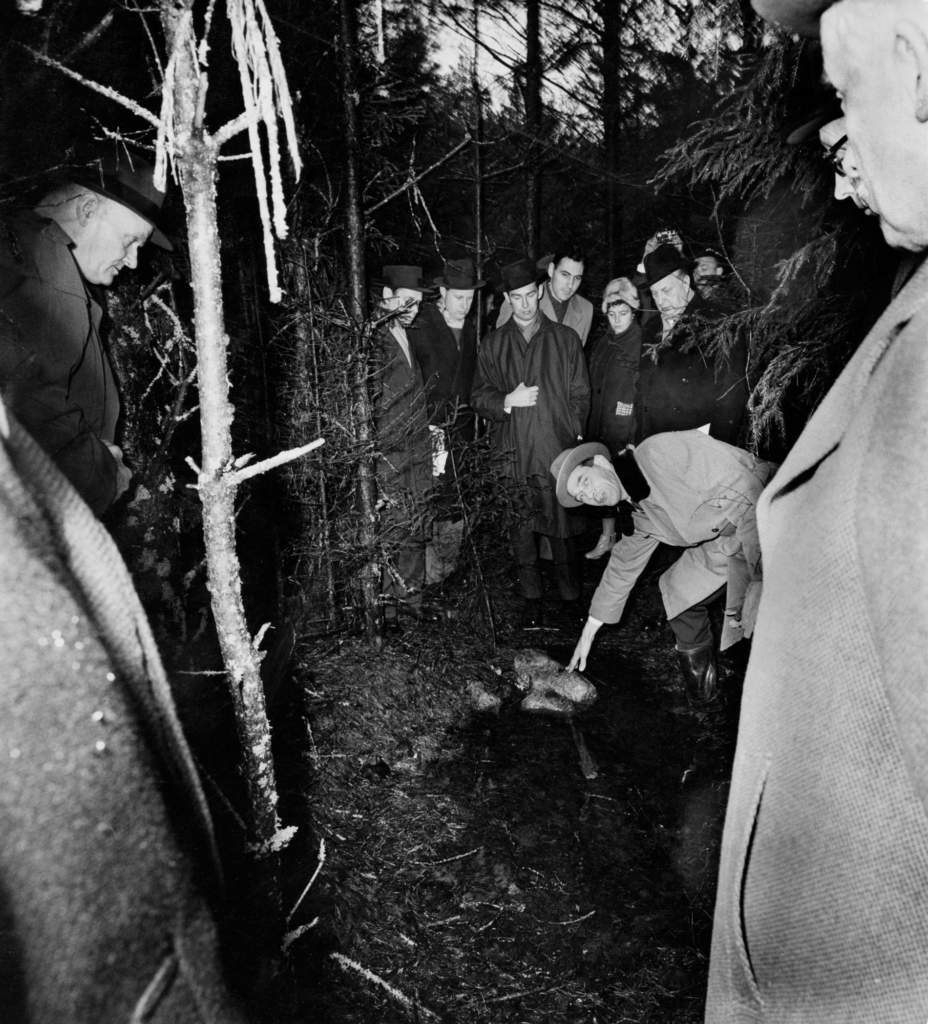 Hovrätten visas runt på platsen där Ruth Linds kropp hittades. Foto: JERRY WINDAHL